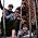 Miniaturansicht von The Animals