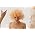 Miniaturansicht von Lady Gaga