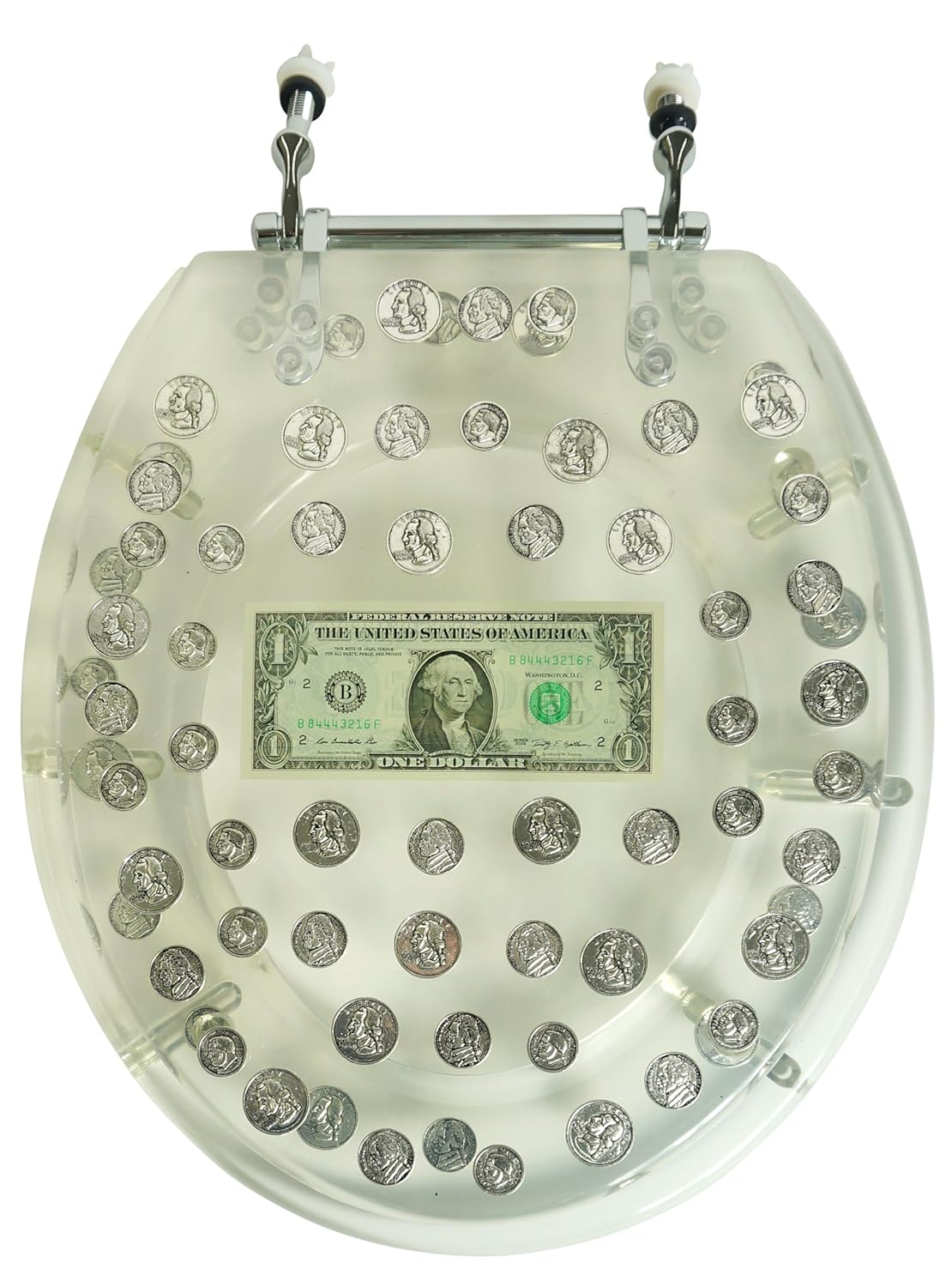 Coin Toilet Seat Filled with Money Fun and Special Toilet Decorations