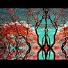 Washed Out - Paracosm