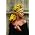 Miniaturansicht von Melody Gardot