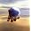 Thumbnail image of Galahad