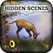 Hidden Scenes - Mother Nature