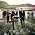 Miniaturansicht von The Airborne Toxic Event
