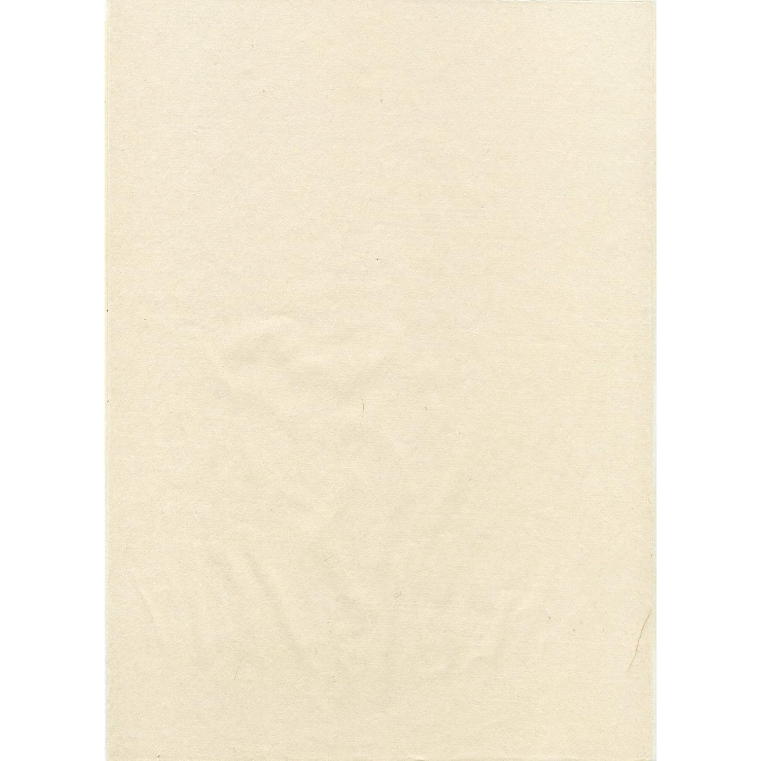 手漉き和纸 纯雁皮纸(未晒し) A4×6枚入り 6件手工制作的日本纸净宣纸(未漂白) A4 × 摩西摩西购物网