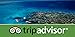 TripAdvisor
