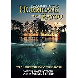 Hurricane On The Bayou