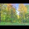 Dream 13 from the Stephen's Dreams CD by Stephen Peppos