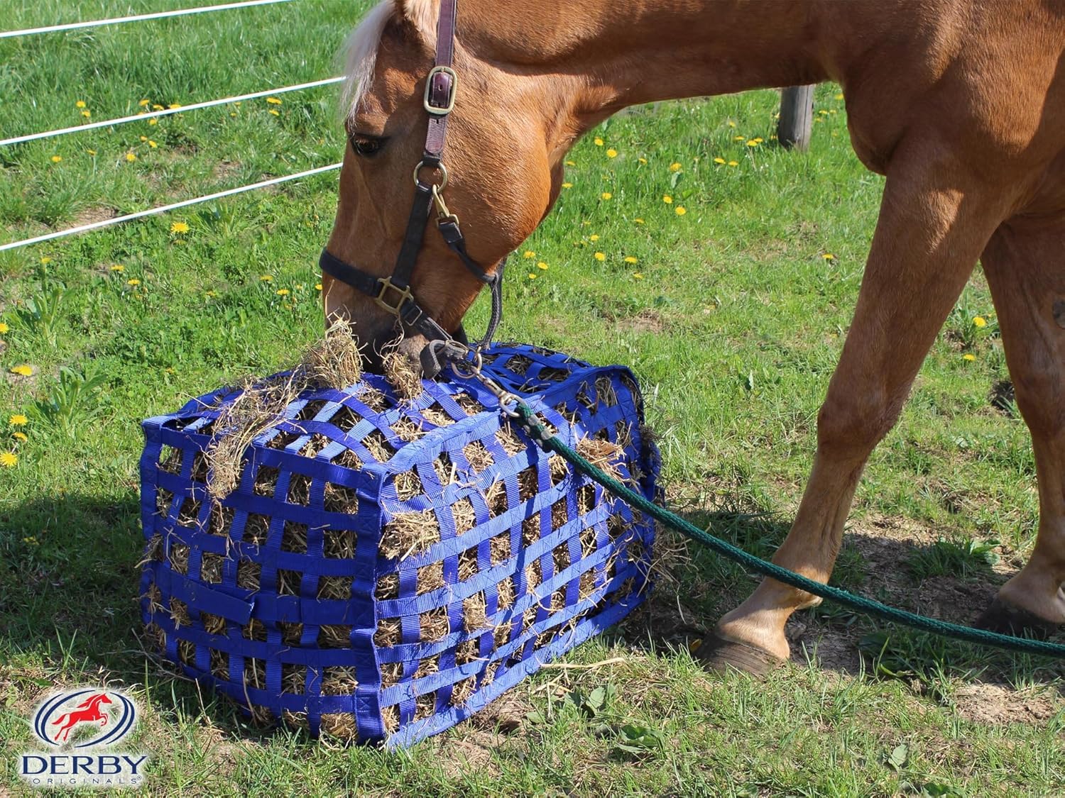 Slow Feeders The Horse Forum