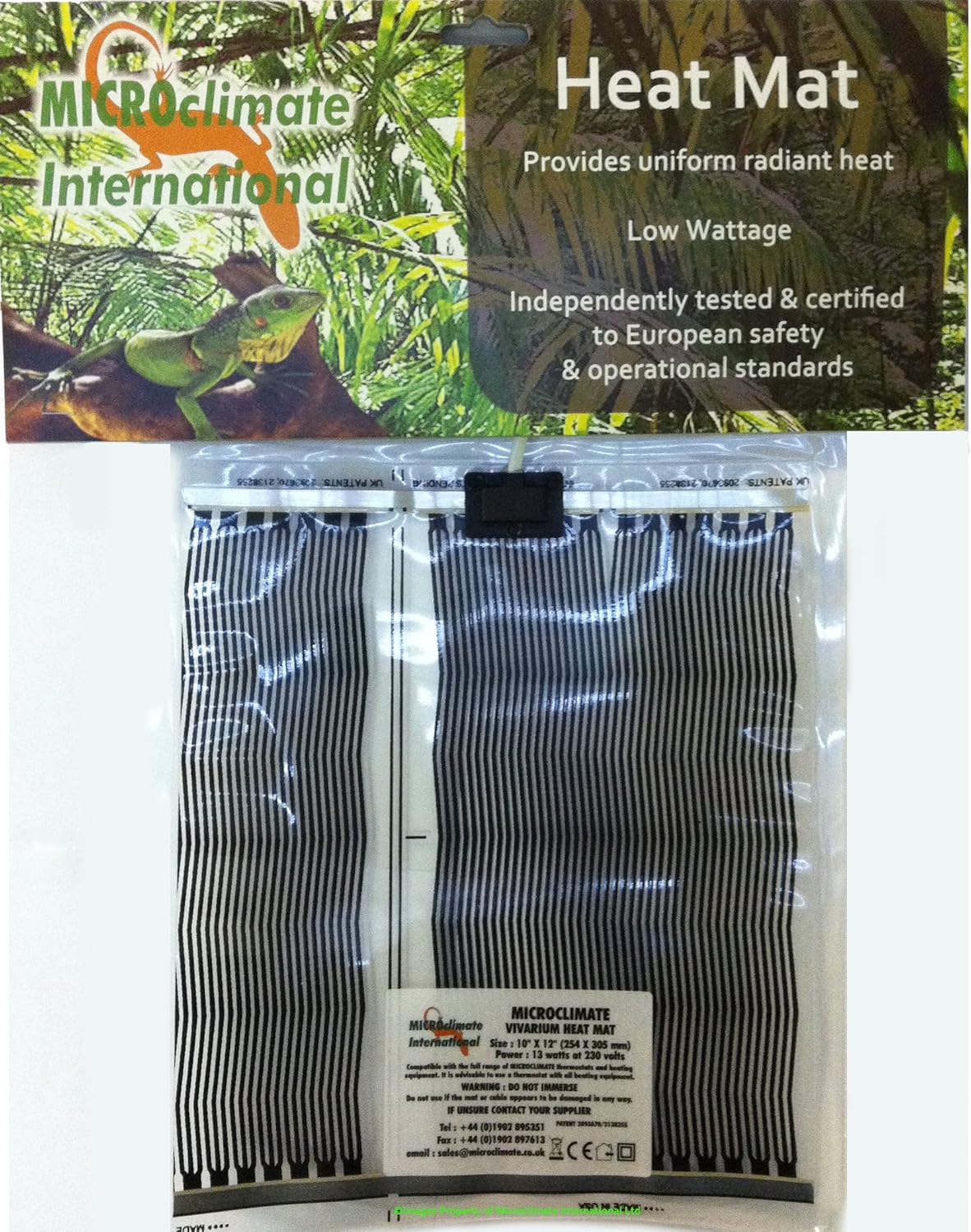 Corn Snake Vivarium Setup Vivarium World