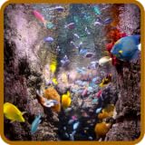 Aquarium Live Wallpaper