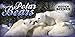 Hidden Scenes - Polar Bears