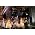 Miniaturansicht von Celtic Woman