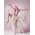 Thumbnail image of Nicki Minaj