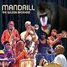 Image of Mandrill