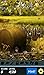 Hidden Object - Country Corner