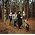 Thumbnail image of Alabama Shakes