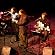 The Magnetic Fields The Magnetic Fields