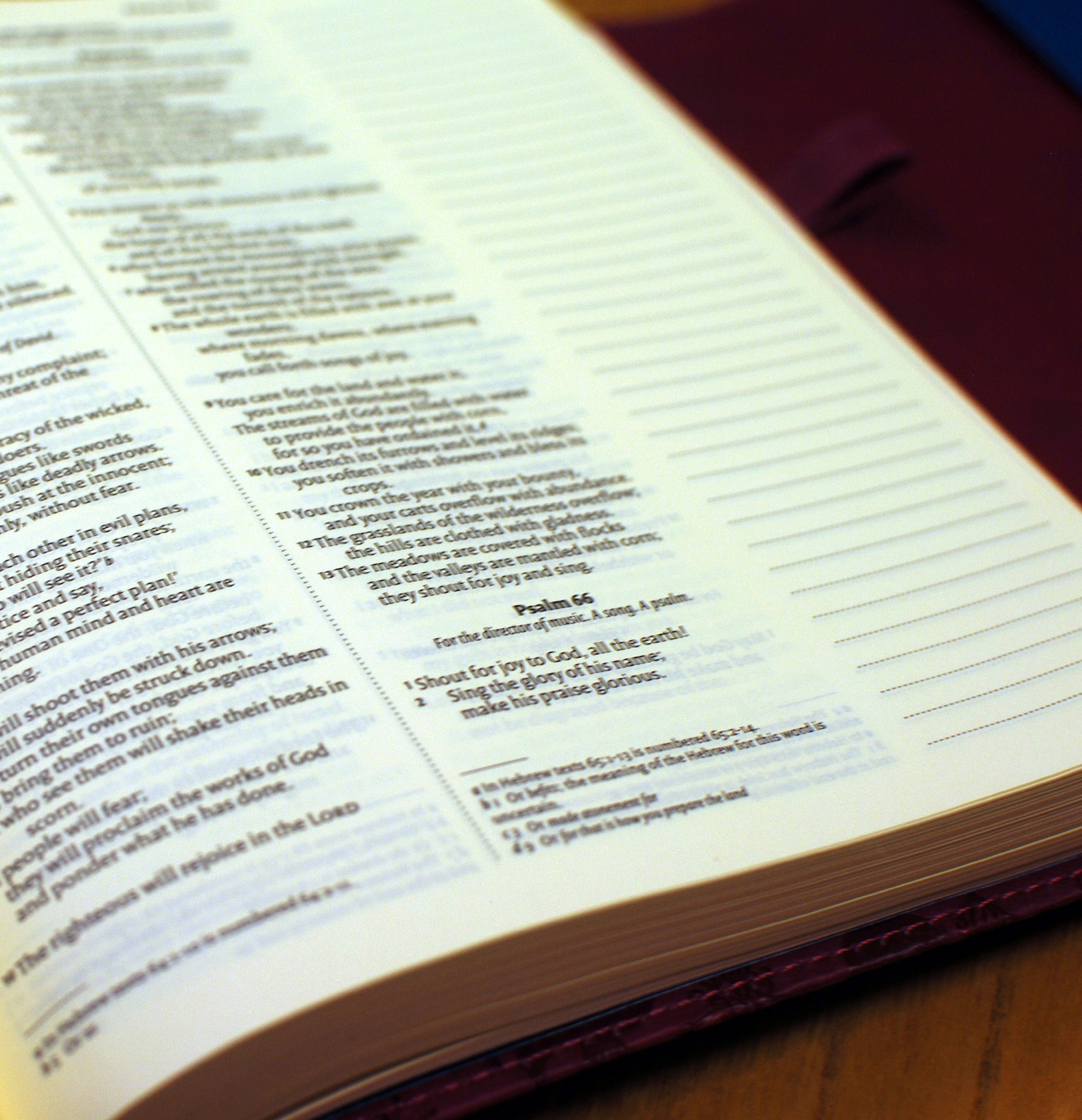 Essay my lyceum 02 image