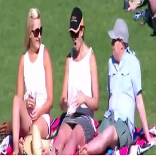 funny Cricket