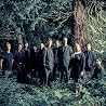 Image of Bellowhead