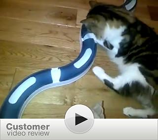 Click to watch this video
