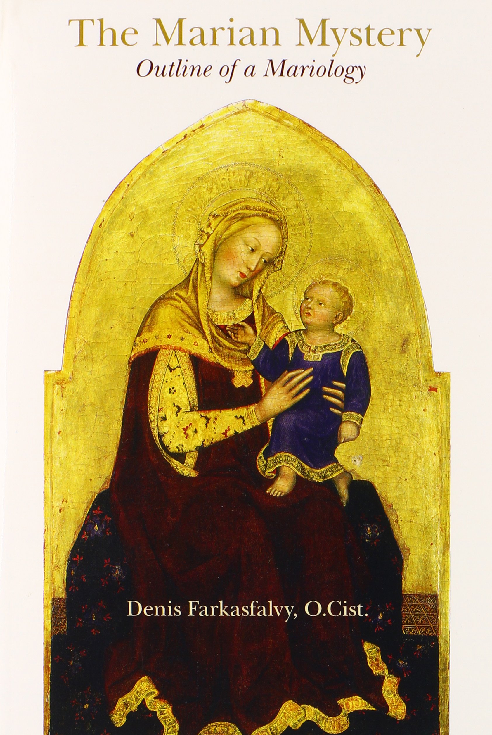 our lady of guadalupe more than flowers lady guadalupe mary i our lady of guadalupe more than flowers lady guadalupe mary i