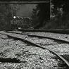 Driver 8, Can't Get There From Here, Life And How To Live It, Feeling Gravitys Pull