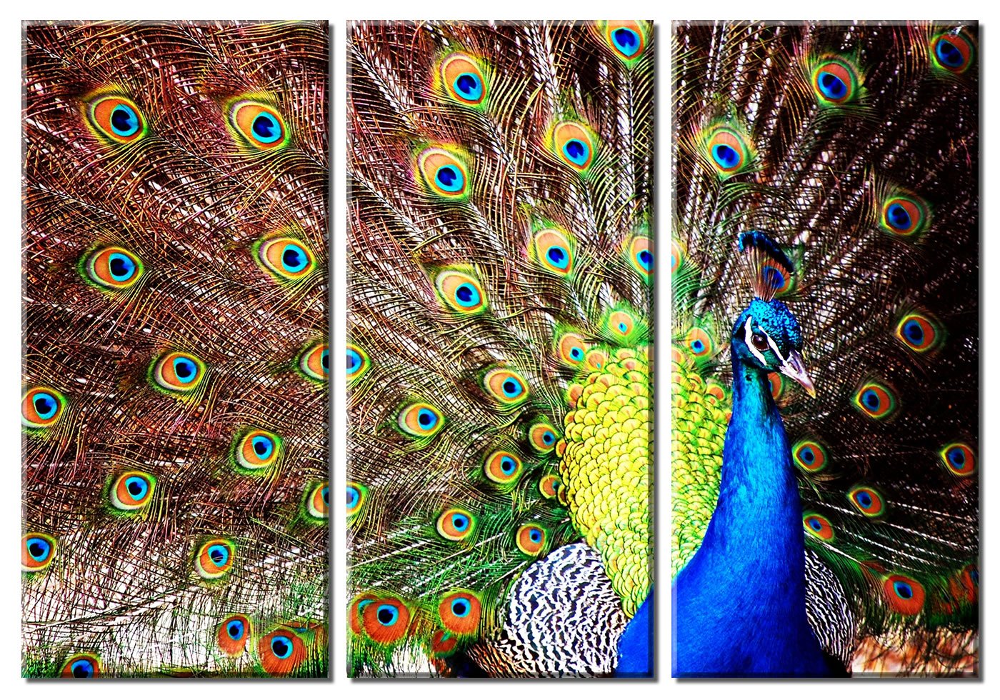 Beautiful Peacock Wall Decor Ideas Panels,Plaques and Masks