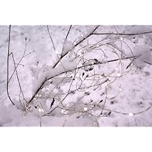 Fortune Products FFL-91W Fantasia Fairy 91 LED Light, 190" Length, White