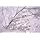Fortune Products FFL-91W Fantasia Fairy 91 LED Light, 190" Length, White