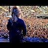 Big 4 Trailer