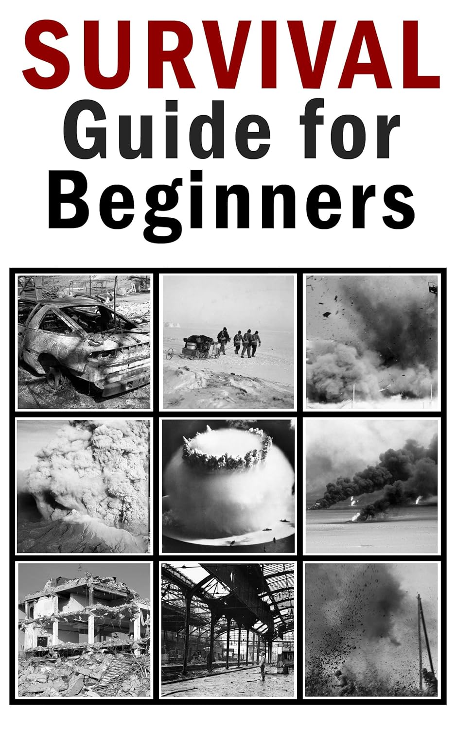 http://www.amazon.com/Survival-Guide-Beginners-Vitaly-Pedchenko-ebook/dp/B00ALUMW96/ref=as_sl_pc_ss_til?tag=lettfromahome-20&linkCode=w01&linkId=&creativeASIN=B00ALUMW96