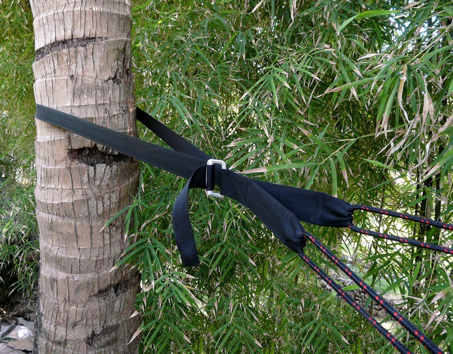 Купить New & Improved Hammock Bliss Deluxe Cinching Tree Straps Heavy Duty & Extra Long