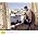 Thumbnail image of Milos Karadaglic