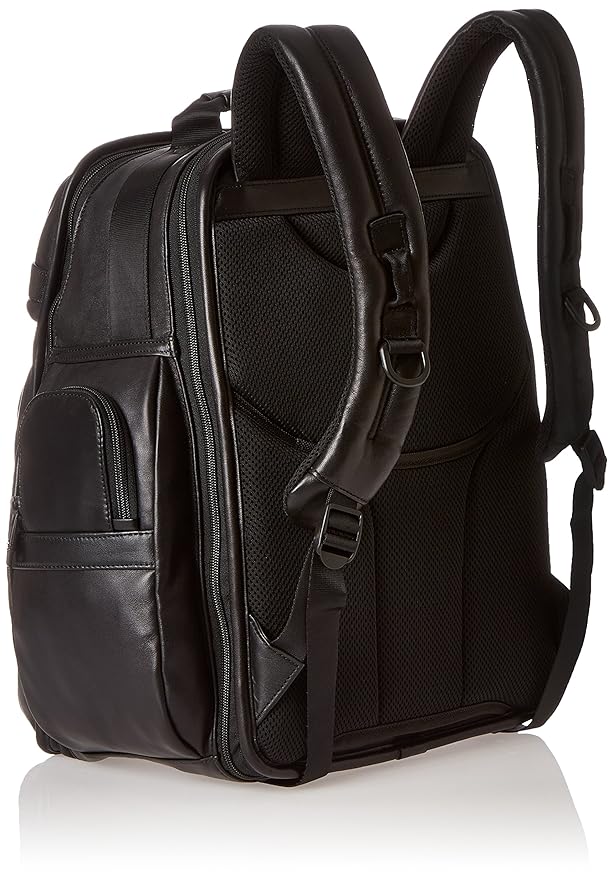 Amazon.com: Tumi Alpha 2 T-Pass Business Class Leather Brief Pack ...