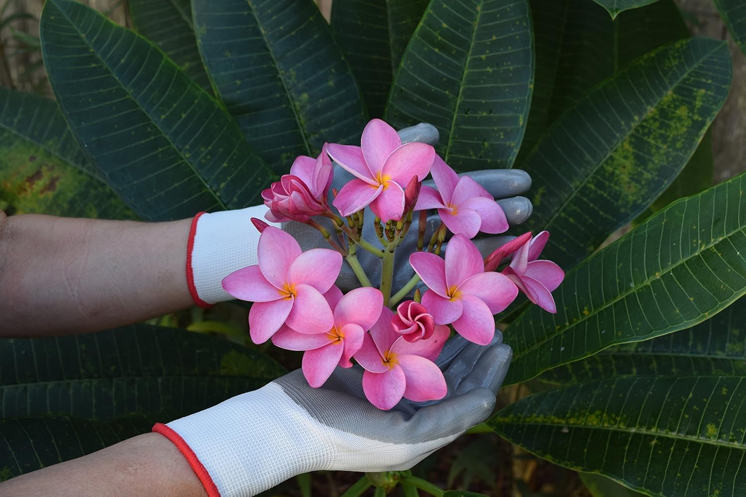 Best Gardening Gloves For Women • Growing Tomatoes 4 You
