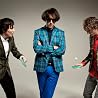 Image of The Wombats
