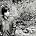 Johnny Marr