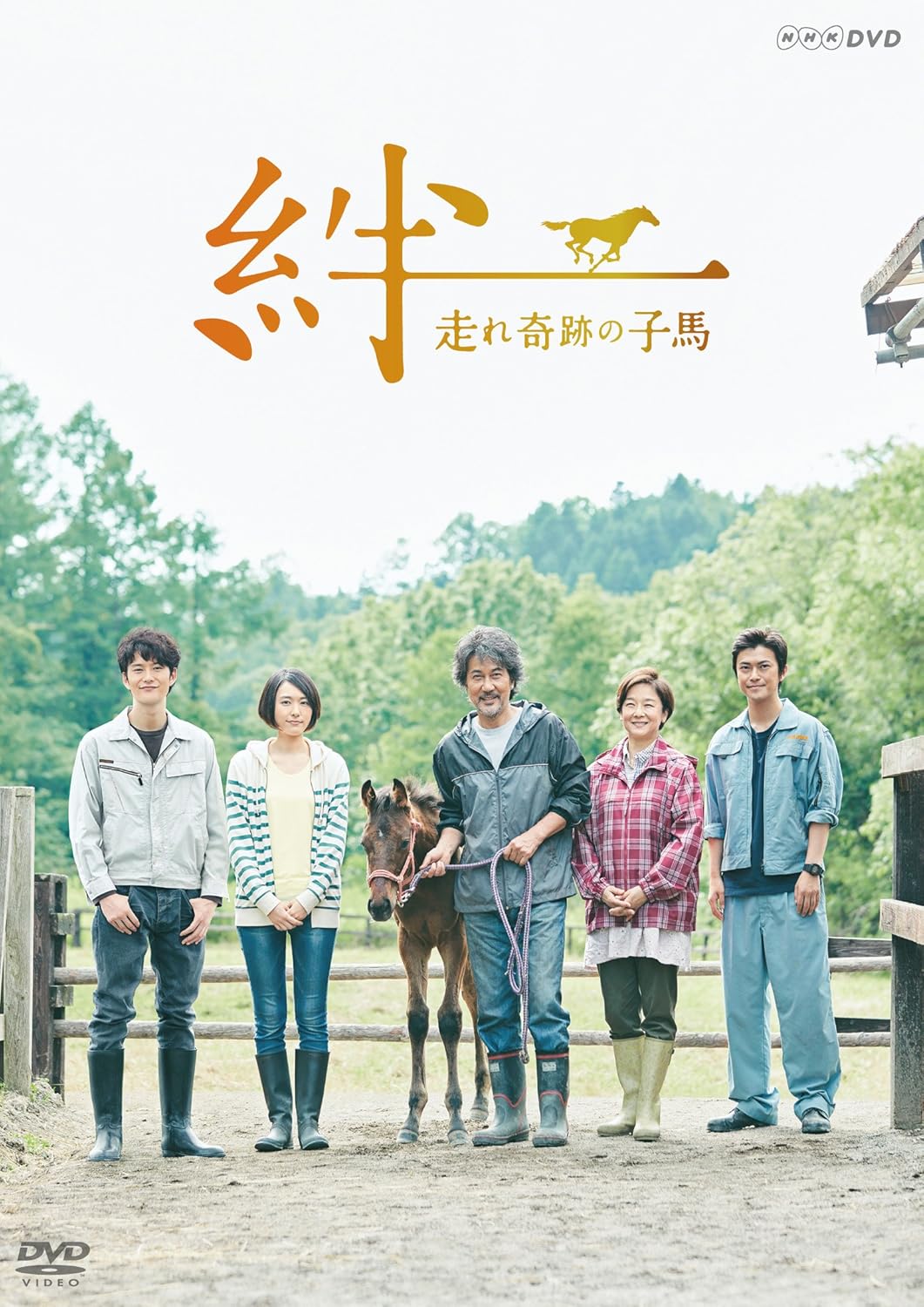 絆~走れ奇跡の子馬~ [DVD]