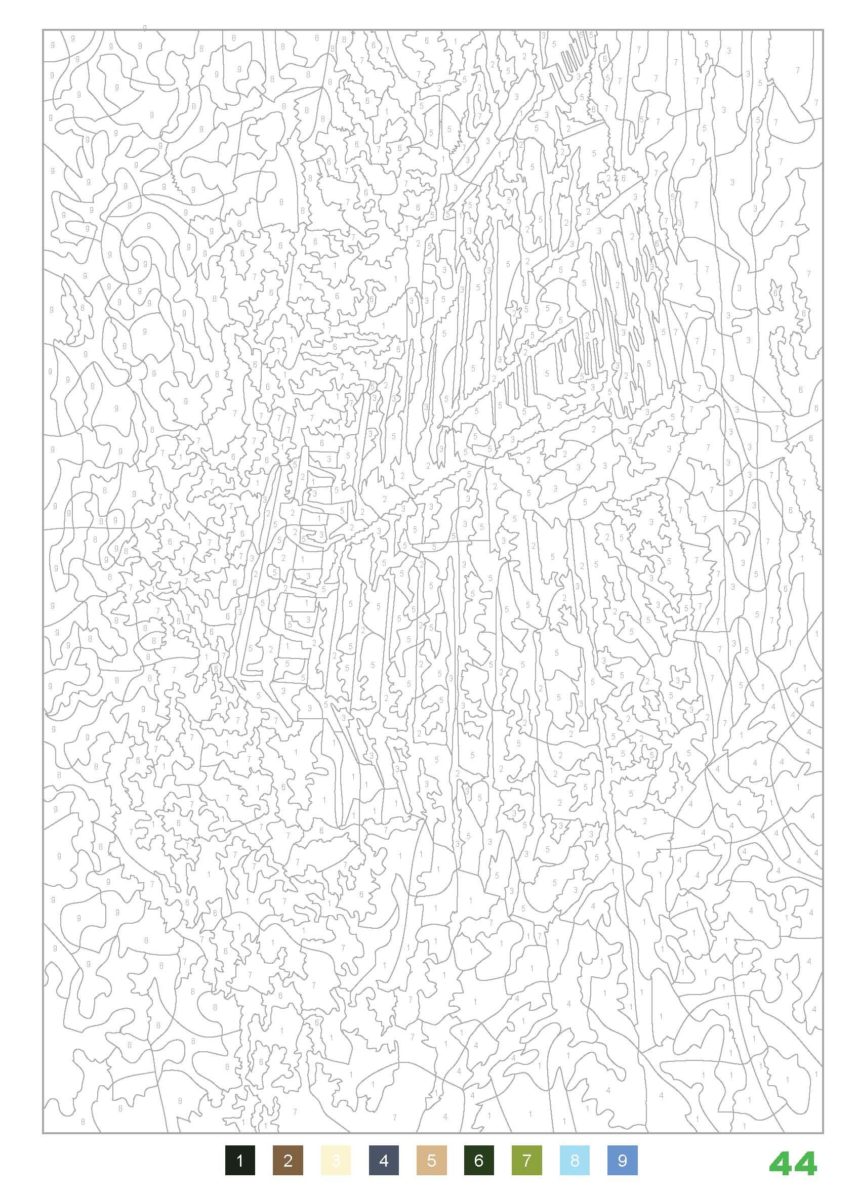 coloriage mystere adulte livre