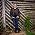 Vignette de Steven Curtis Chapman