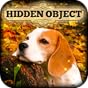 Hidden Object - Autumn Colors