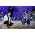 Thumbnail image of Celtic Thunder