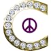 Craigslist Browser