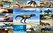 Dinosaur Jigsaw Puzzles for Kids - Full version (Freetime Edition) - Fun and Educational Jigsaw Puzzle Game for Kids and Preschool Toddlers, Boys and Girls 2, 3, 4, or 5 Years Old