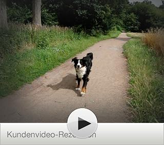 Klicken, um dieses Video zu sehen