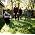 Vignette de Midlake