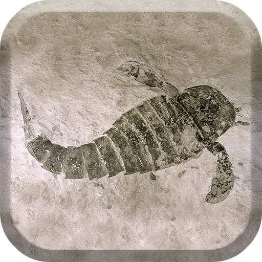 geotimescale enhanced