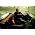 Thumbnail image of Bruce Springsteen
